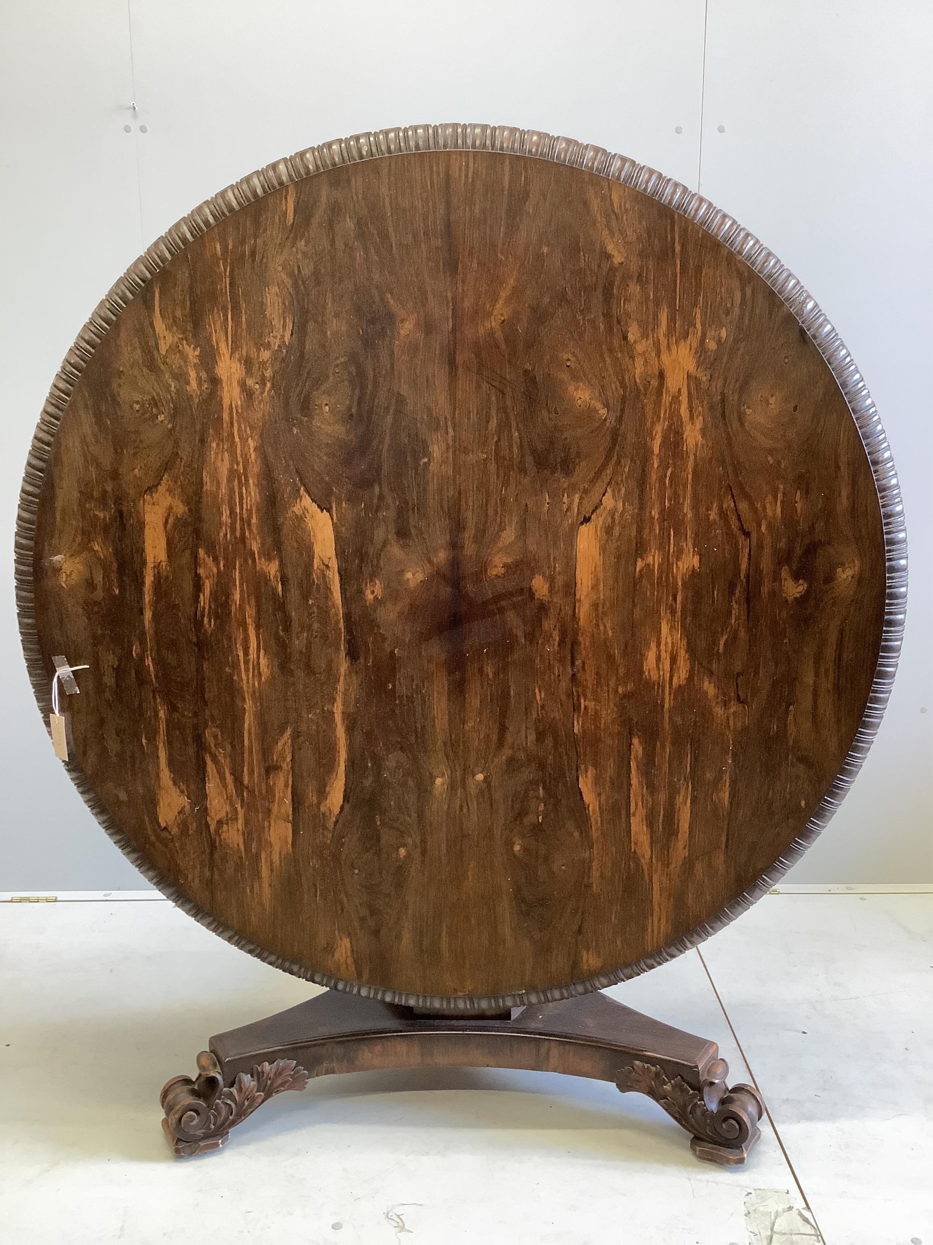 A William IV circular rosewood centre table, the tilt top with lappet carved edge on single tapered hexagonal column, tripartite slab base with scrolled feet, diameter 135cm, height 72cm